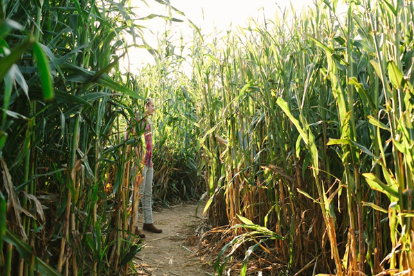 The Barton Hills Farms Corn Maze is a historical part of the Austin area.
