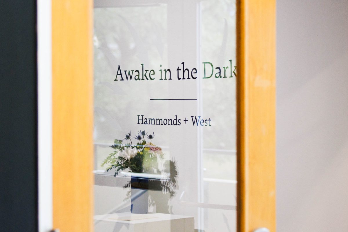 The art collective “Hammonds + West” opened their newest exhibit, “Awake in the Dark” in the Fine Arts Building last week. An artist talk was held, including a Q&A session, refreshments and time to enjoy the art. 